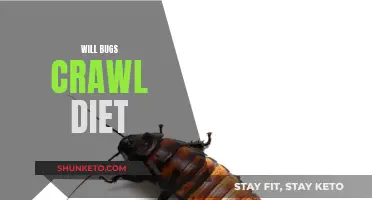 Bugs on a Diet: Will They Crawl Away?