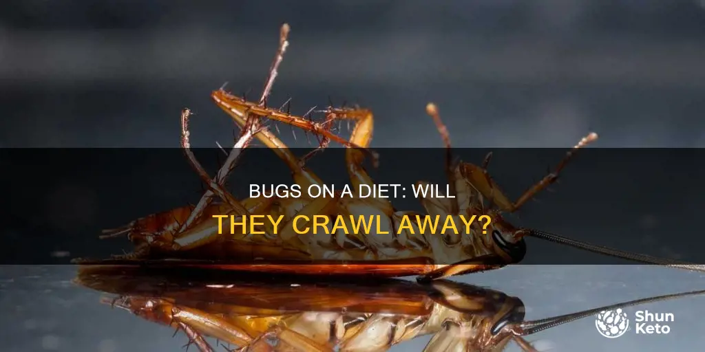 will bugs crawl diet
