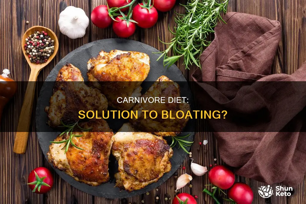 will carnevore diet jelp with bloating