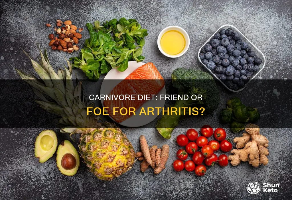 will carnivore diet help arthritis