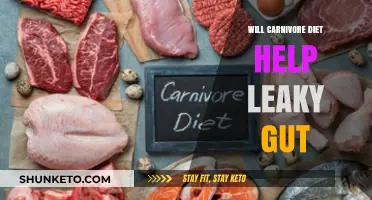 Carnivore Diet: Leaky Gut Cure or Myth?