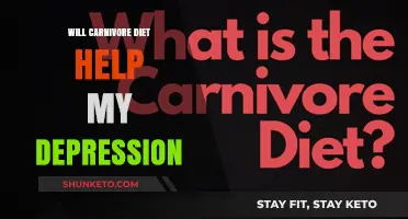 Meat-Based Diet: A Solution for Depression?