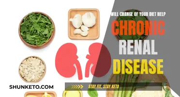 Dietary Changes: Managing Chronic Renal Disease