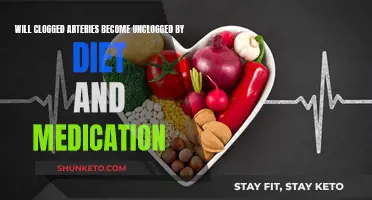 Can Diet and Medication Unclog Arteries?