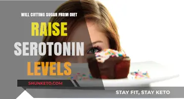 Sugar-Free Diet: Can It Boost Serotonin Levels?