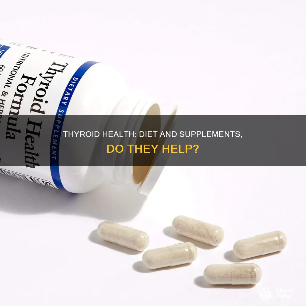 will diet and supplements help your thyroid