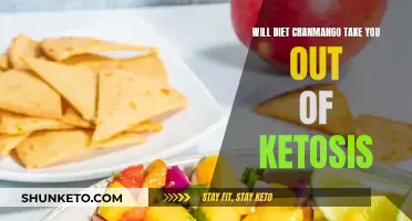 Keto Diet: Can Mangoes Break Your Ketosis?