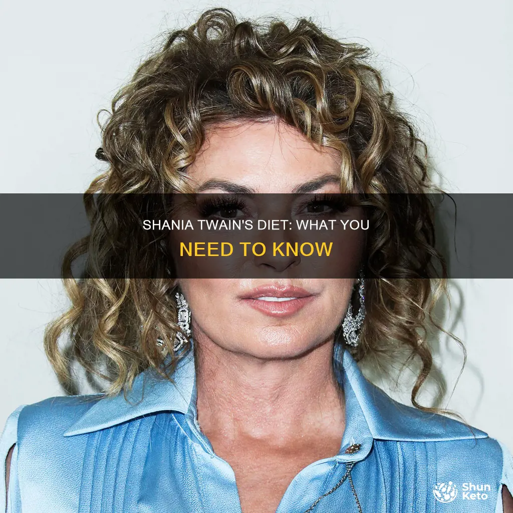 will diet follow shania twain
