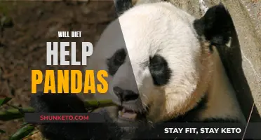 Dieting for Pandas: A Healthy Approach