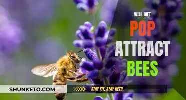 Can Diet Pop Attract Bees?