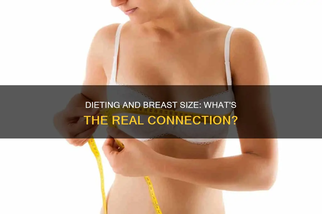 will diet reduce breast size