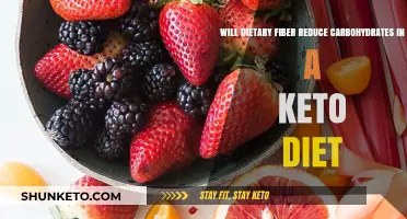 Can Dietary Fiber Lower Carb Intake in a Keto Diet?