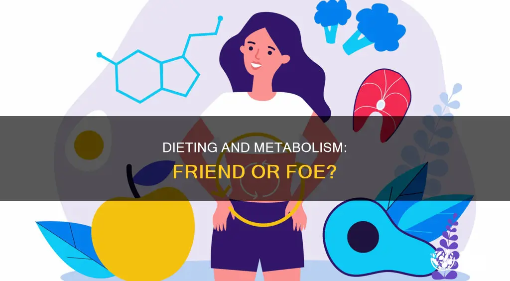 will dieting make you lose your metabolism