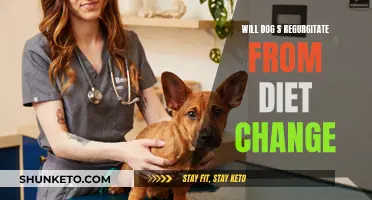 Dog Diet Change: Regurgitation Risks and Prevention