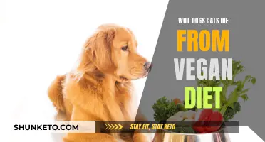 Can Cats and Dogs Survive on Vegan Diets?