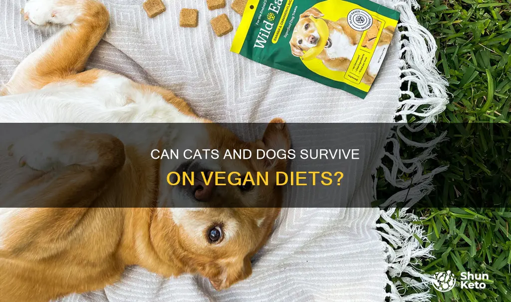 will dogs cats die from vegan diet