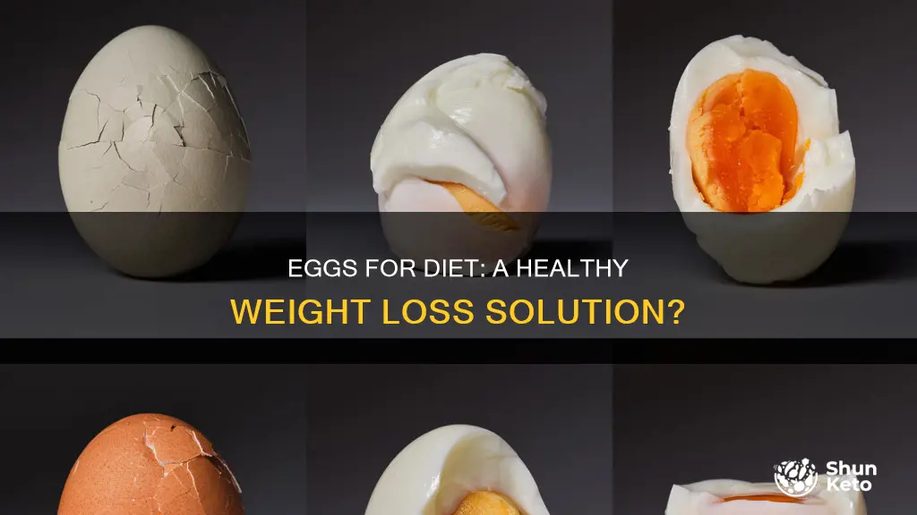 will eggs help a diet