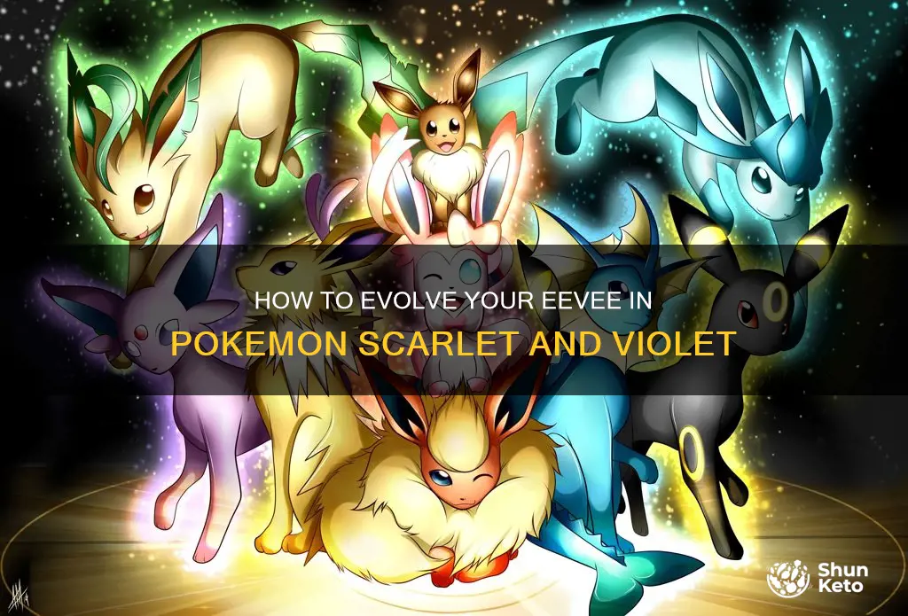 will evee evolve in kets go