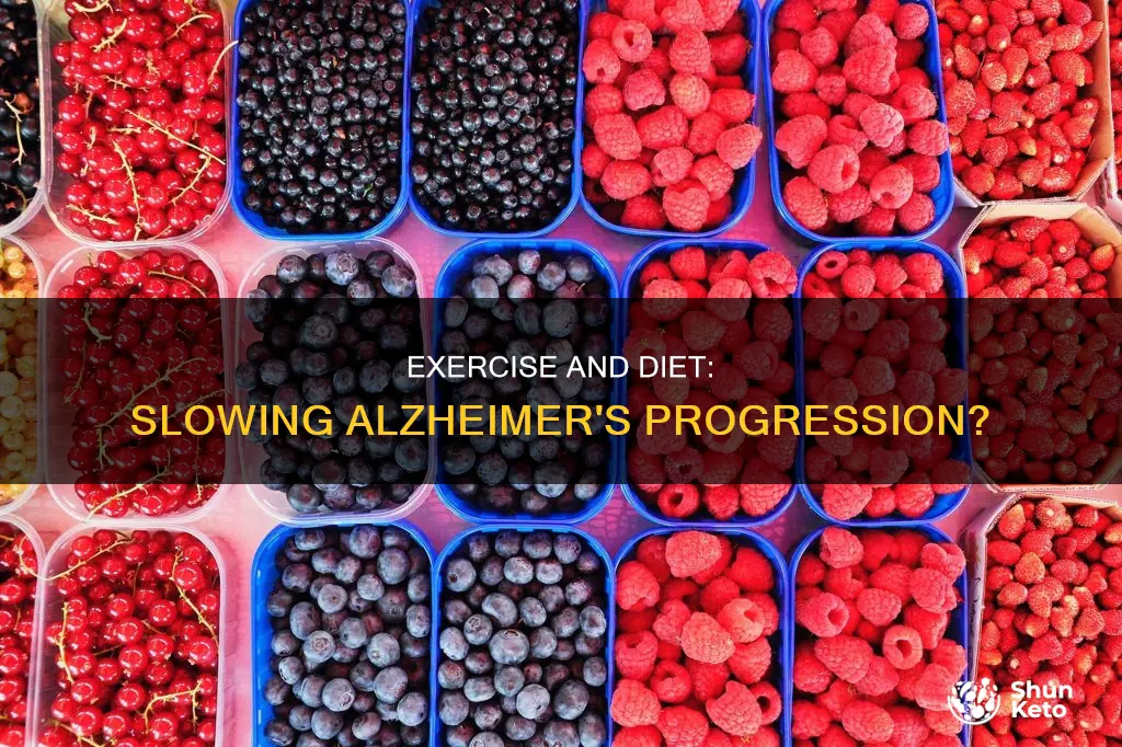 will exercise and diet slow the progress of altzheimers
