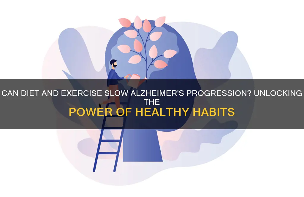 will exercise and diet slow the progress ofaltzheimers