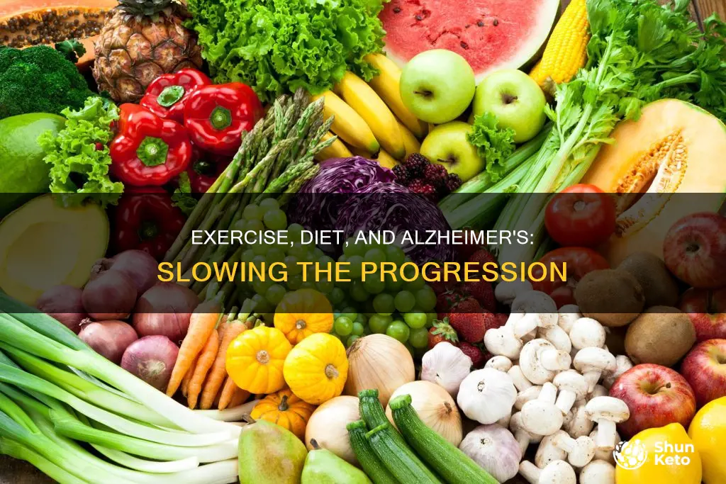 will exercise and diet slow the progress ofaltzheimers