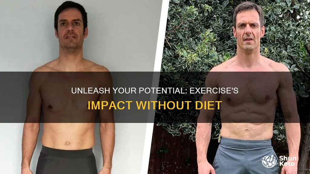 will exercise without diet see results