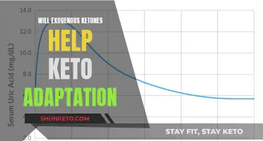 Exogenous Ketones: Aiding Keto Adaptation?