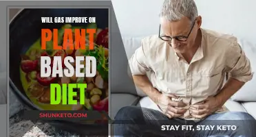 Plant-Based Diets: Gas Improvement or Not?