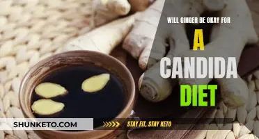 Ginger's Role in Candida Diet: A Healthy Choice?