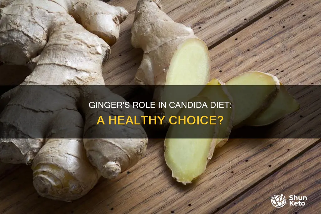 will ginger be okay for a candida diet