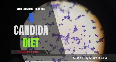 Ginger and Candida Diet: Is It Safe?