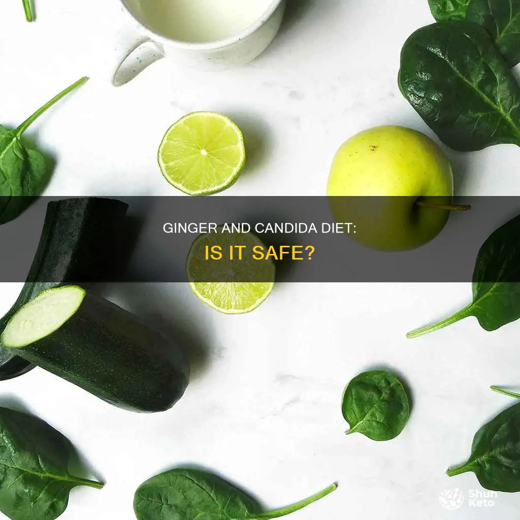 will ginger be okay for a candida diet