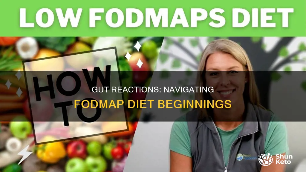 will gut still react in beginning of fodmap diet