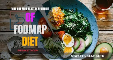 Gut Reaction: Will FODMAP Diet Cause Issues?