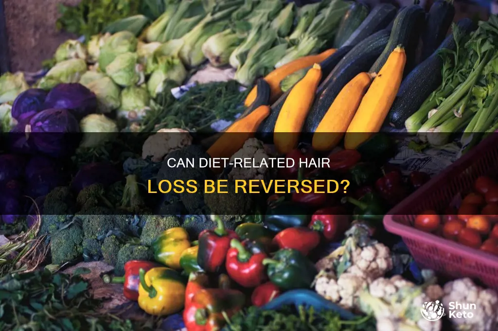 will hair loss due to diet grow back