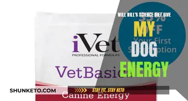 Science Diet: Energy Boost for Dogs?