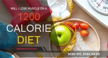 Calorie Counting: Will a 1200-Diet Plan Sacrifice My Muscle?