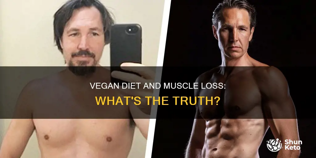 will i lose muscle on a vegan diet