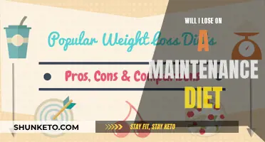 Maintenance Diets: Losing Weight or Losing Interest?