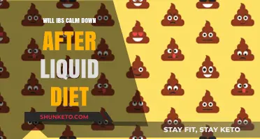 Liquid Diet: A Calm Solution for IBS?