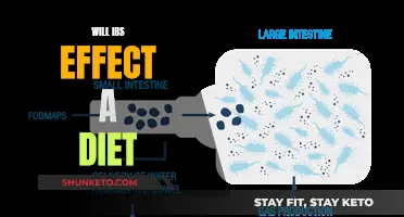 IBS and Diet: What You Need to Know