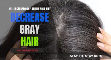 Melanin-Rich Diets: Can They Reduce Gray Hair?