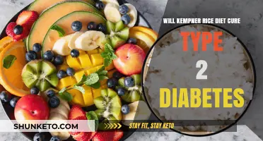Kempner Rice Diet: A Cure for Type 2 Diabetes?