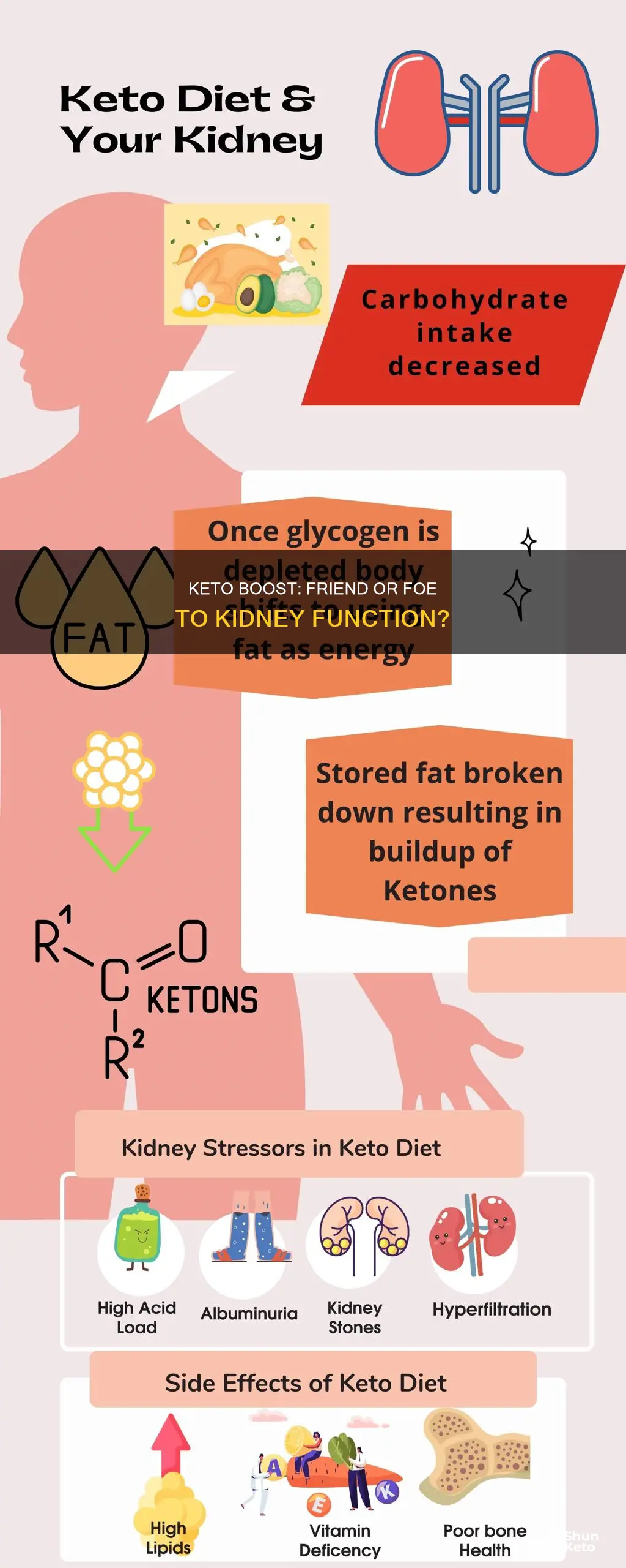 will keto boost effect kidney function