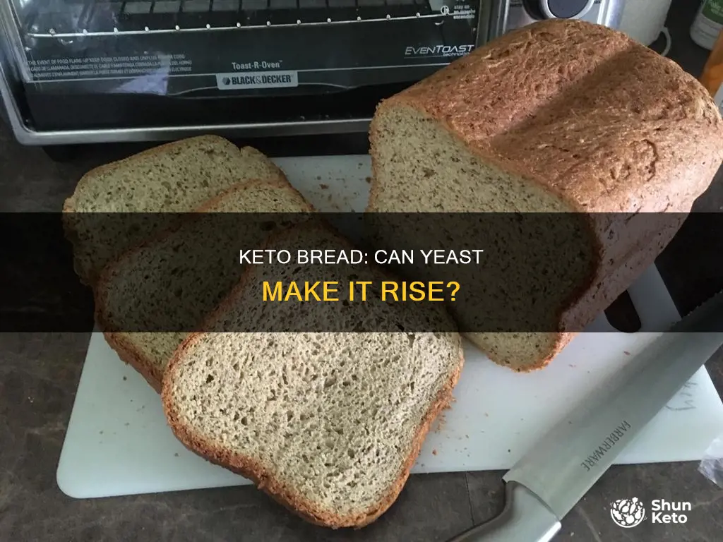 will keto bread rise with yeast