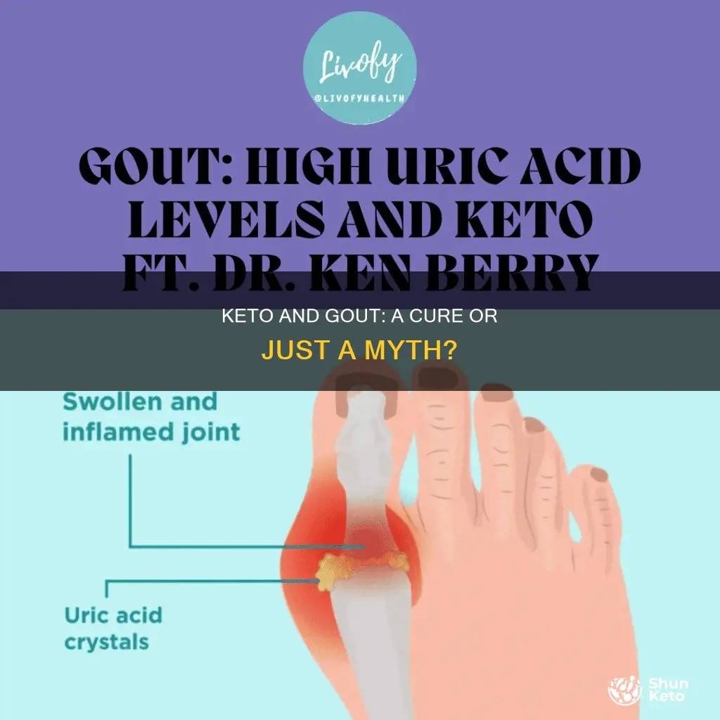 will keto cure gout