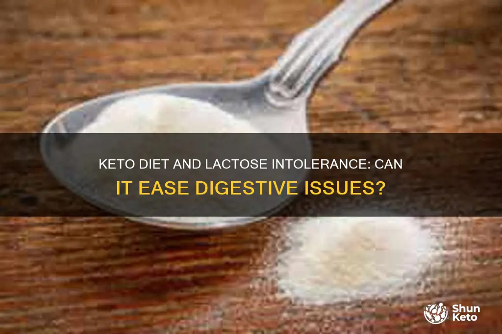 will keto diet help lactose intolerance