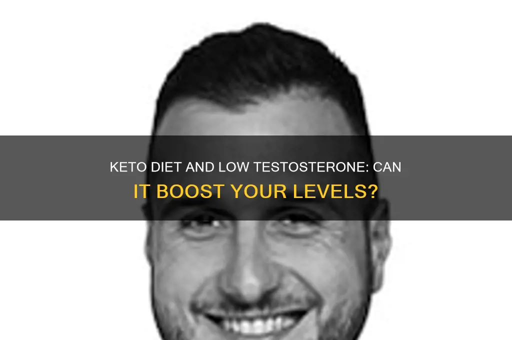 will keto diet help my low testonerone