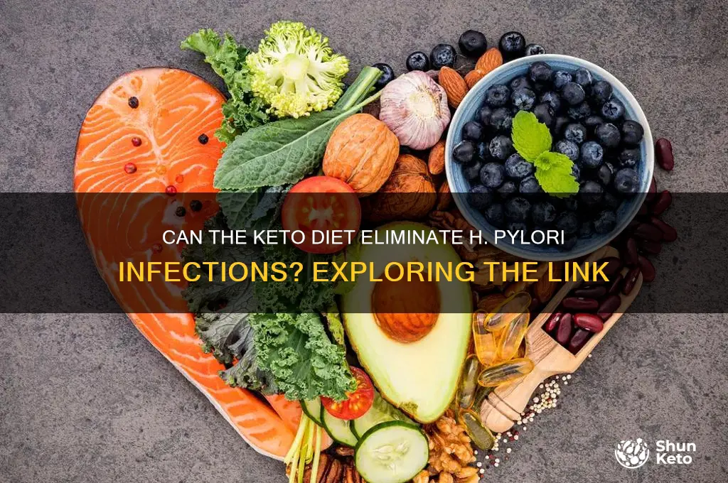 will keto diet kill off h pylori