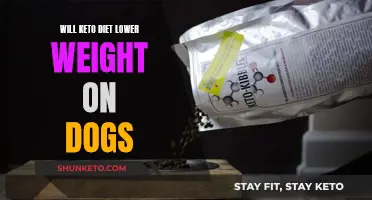 Keto Diet for Dogs: Effective Weight Loss Method?